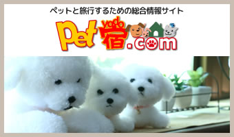 Pet宿.com
